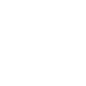 category image