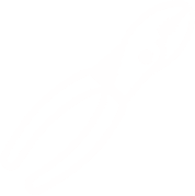 category image