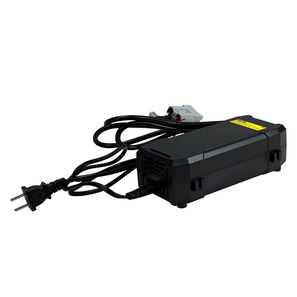 Cargador de baterías 24 V 20 Ah para TREP15 Surtek
