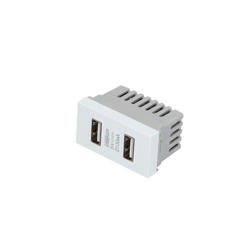[P617B] Módulo USB doble 1/3, línea Premium, color blanco Surtek