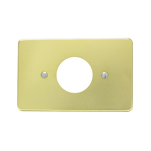 [136608] Placa sencilla de aluminio, línea estándar, color oro Surtek